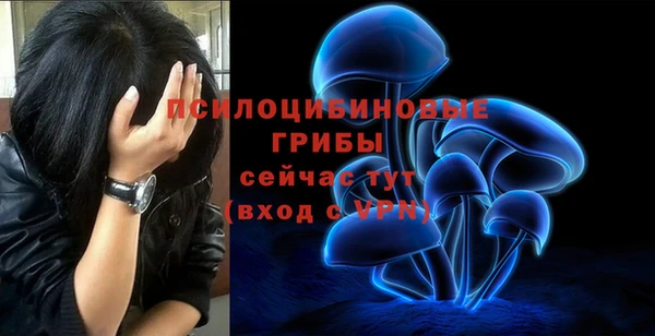 спайс Абаза