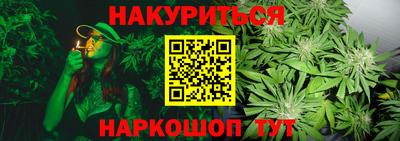 PSILOCYBIN Заволжье
