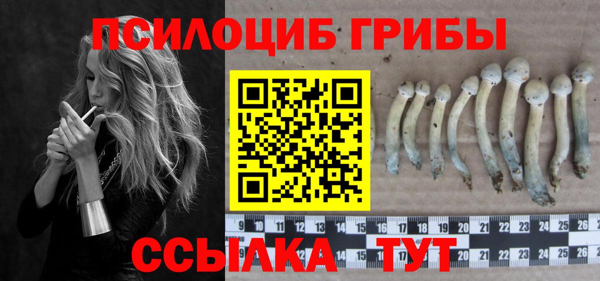 Галлюциногенные грибы мицелий Севастополь