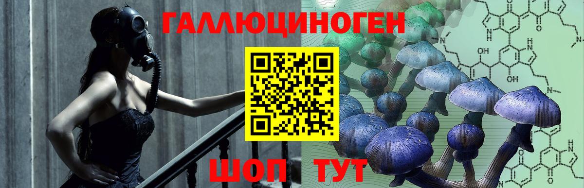 Севастополь  Галлюциногенные грибы MAGIC MUSHROOMS  Вход с VPN  где купить наркоту  Псилоцибиновые грибы Psilocybine cubensis 